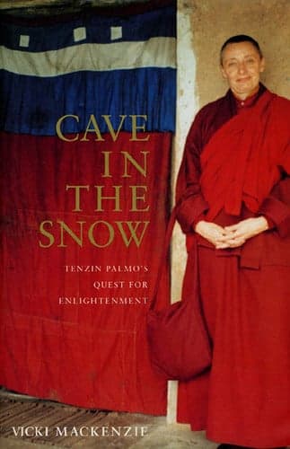 Cave in the Snow cover
