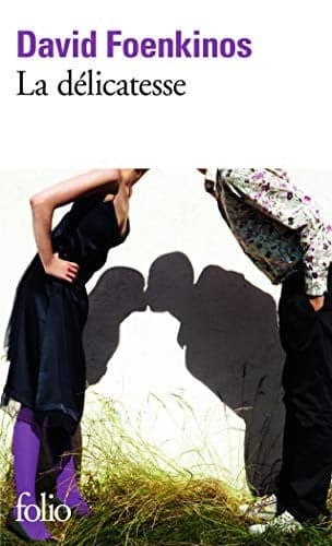 La délicatesse cover
