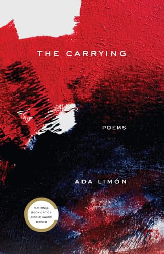 The Carrying cover
